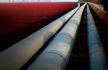 Long distance pipe damage & pilferage